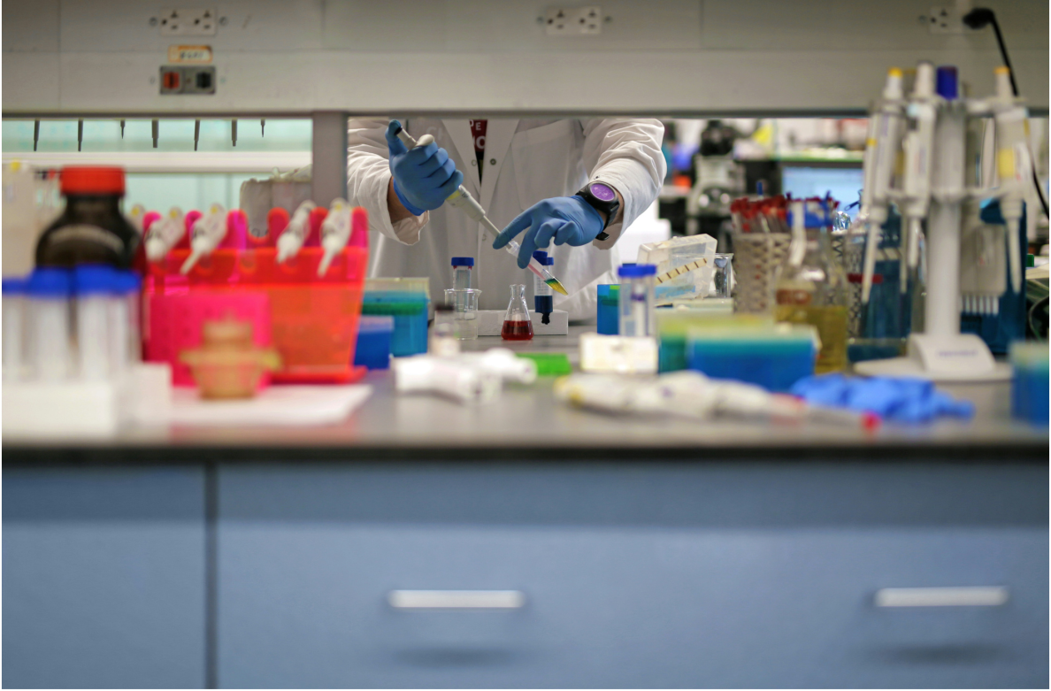laboratorio