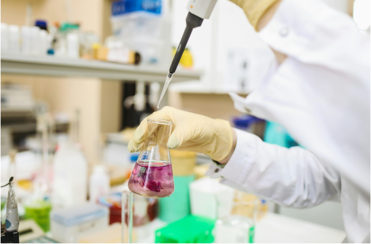 laboratorio 2